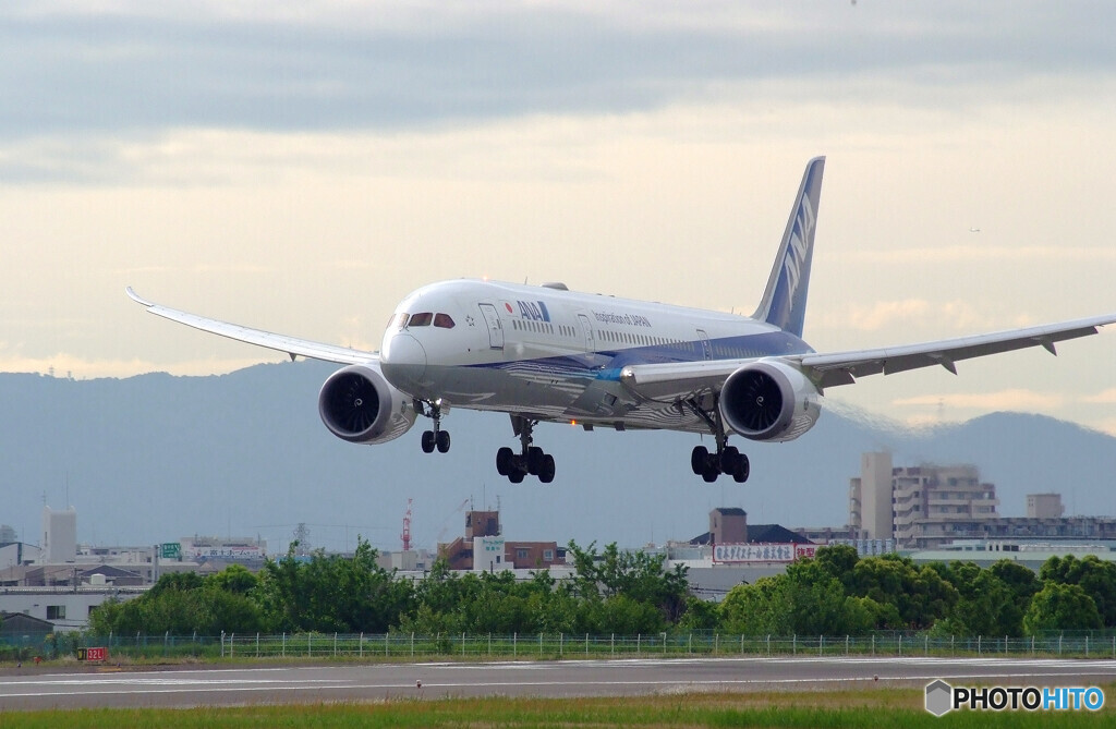 Nice Holiday✈Boeing787-9