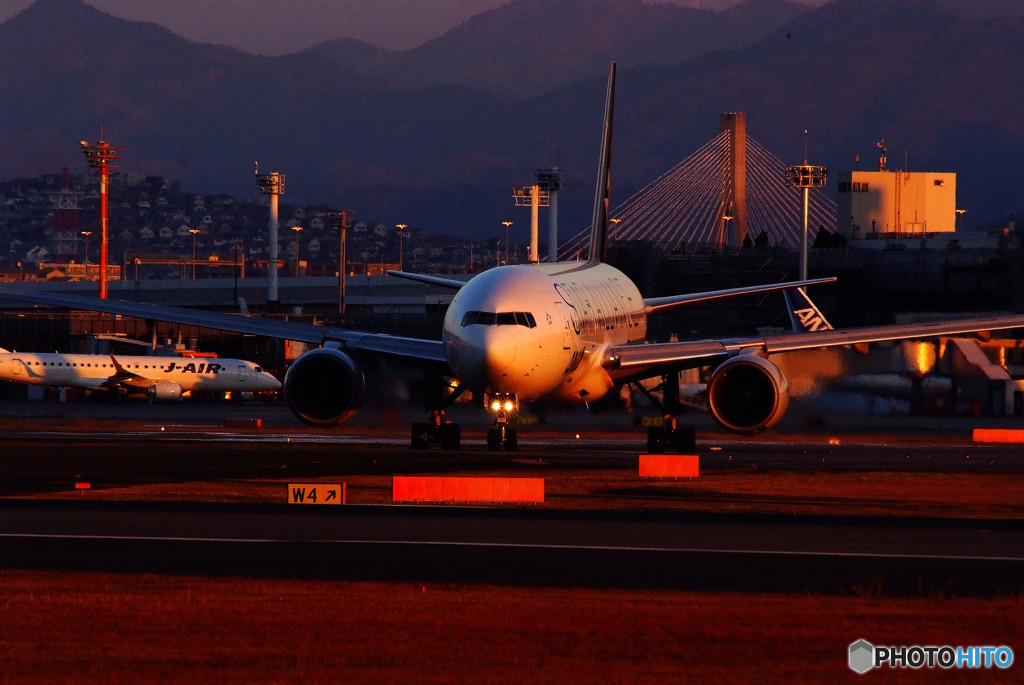 Golden Time ・J712A