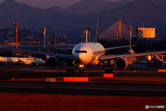 Golden Time ・J712A