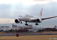 素敵な土曜日✈Dreamliner