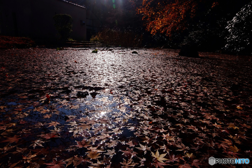 愛燦燦・華