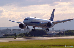 October SkyⅤ✈787 Dreamliner