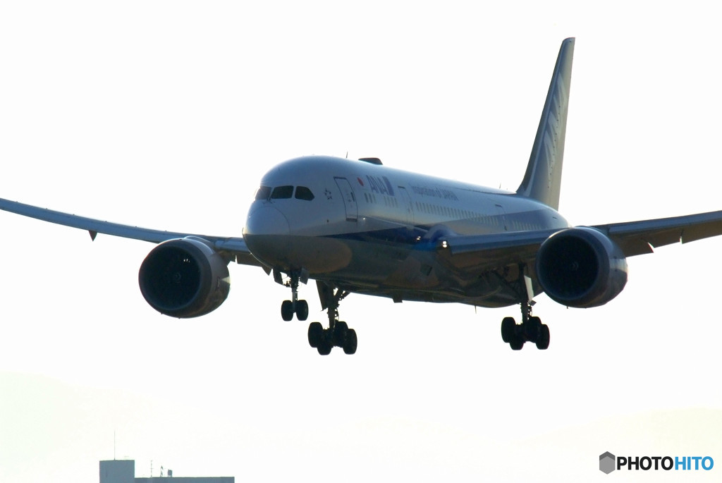 Tetsutori・787