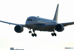 Tetsutori・787