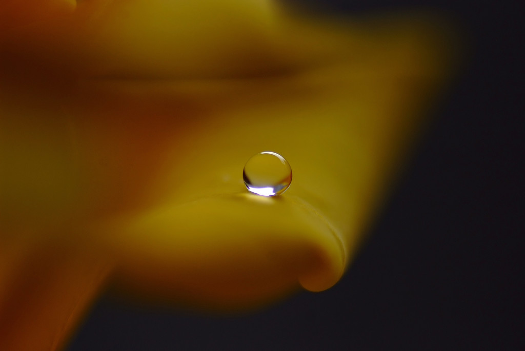 想い玉・雫（Ⅶ）