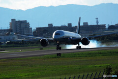 Smoke✈787