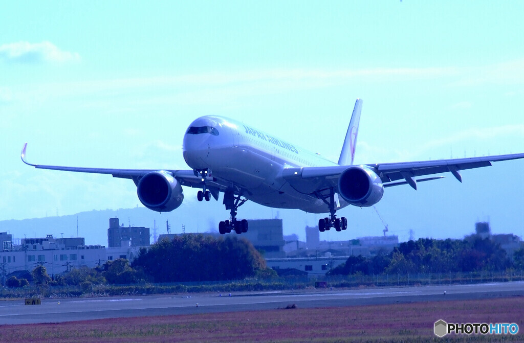 蒼が飛ぶ✈Airbus A350-900