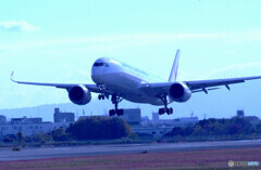 蒼が飛ぶ✈Airbus A350-900