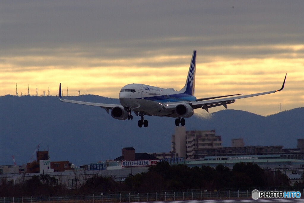 JAPANの朝Ⅶ✈Boeing 737-800