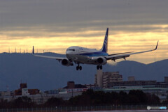 JAPANの朝Ⅶ✈Boeing 737-800