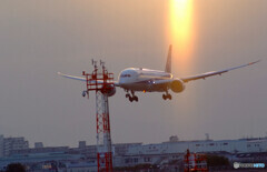 Rising sun✈HARADAの朝