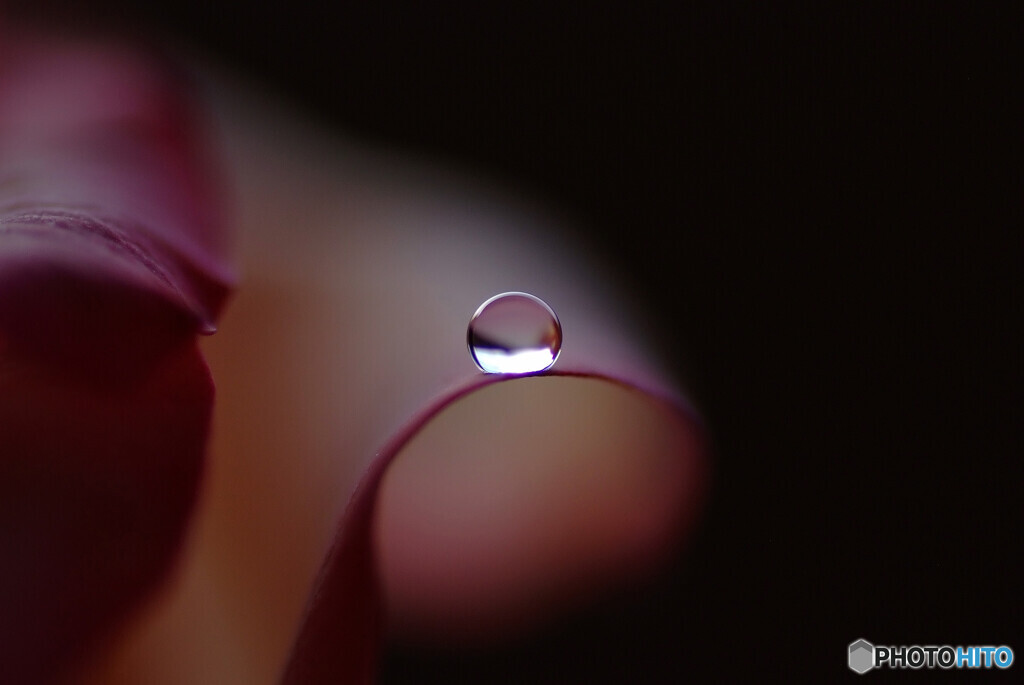 葉月の夢✿瞳