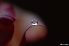 葉月の夢✿瞳