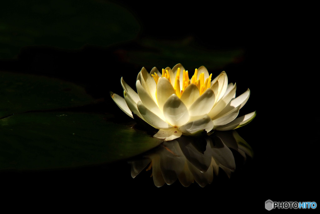 Eternity・捧げる