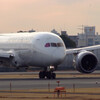 桜月の朝✈Boeing878-8