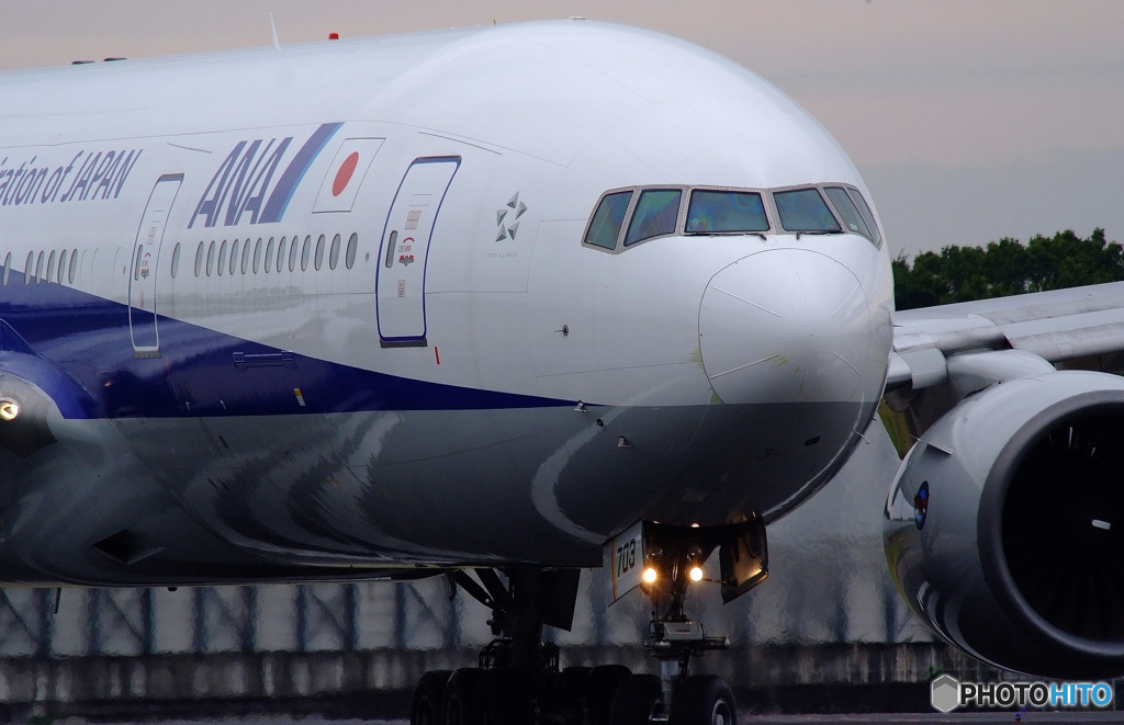 Morning StarⅡ・秋