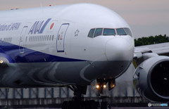 Morning StarⅡ・秋