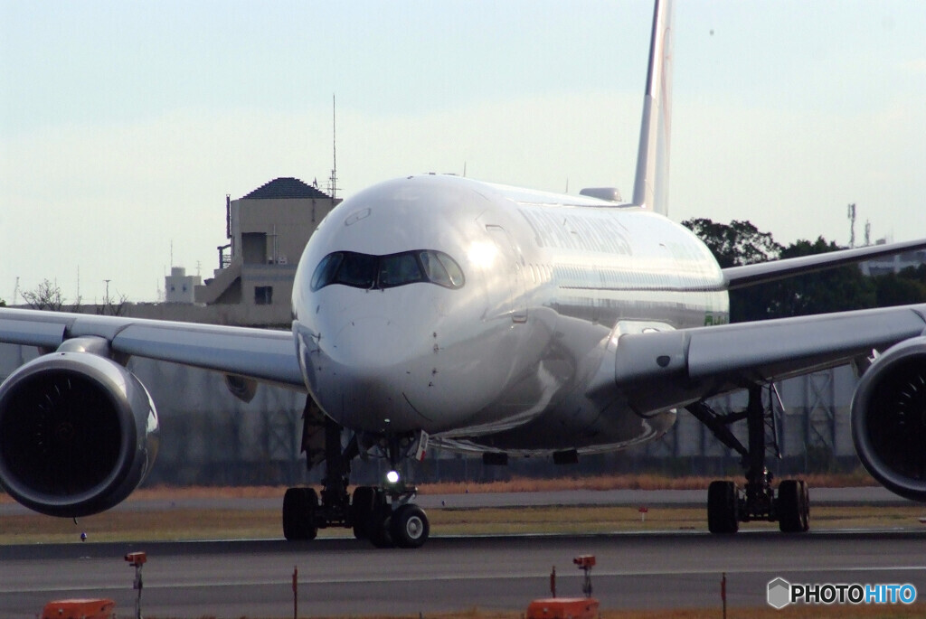 December morning✈A350-900