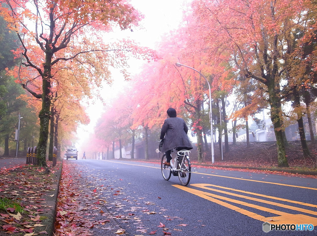 紅葉に駆けろ！