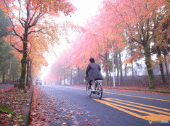 紅葉に駆けろ！