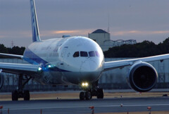 SKYLANDの彩✿Boeing787-8