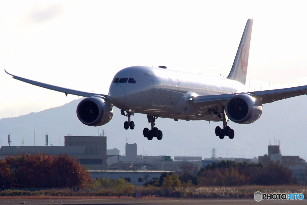 12月の旅路Ⅹ✈787Dreamliner