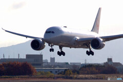 12月の旅路Ⅹ✈787Dreamliner