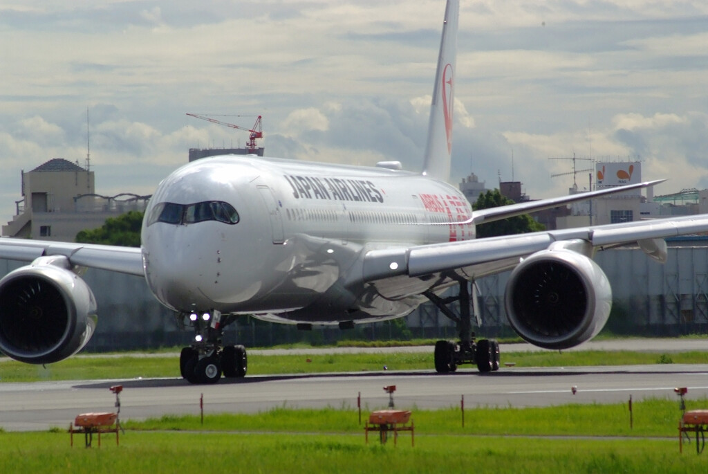 SKYLANDの朝✈JA01XJ