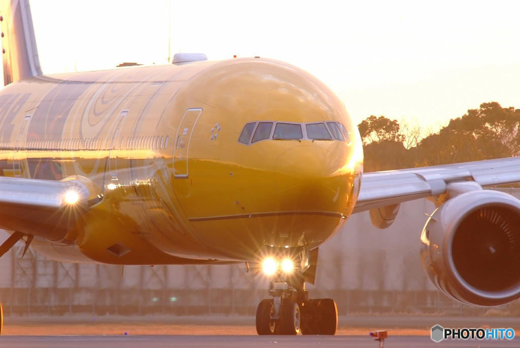 黄金色の世界へ・777