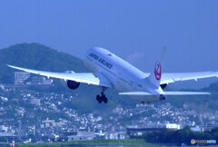 涼を求めて✈Dreamliner 