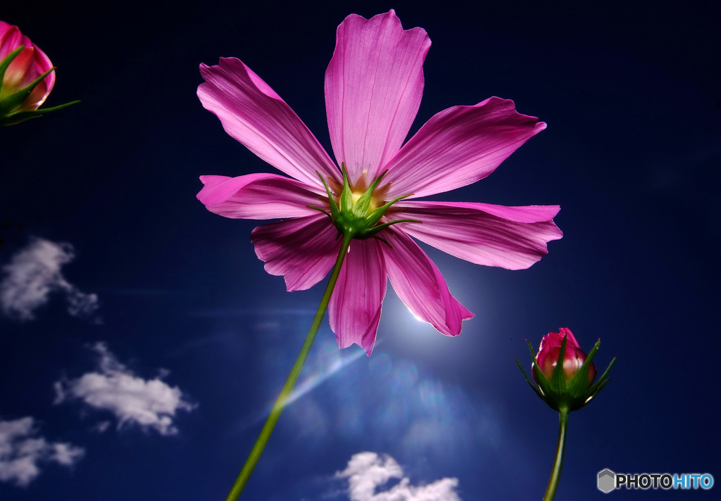 儚くも美しく・秋