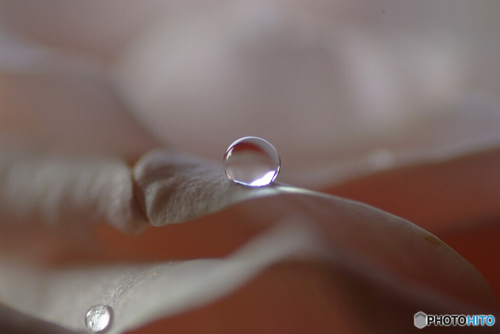 葉月の朝✿雫
