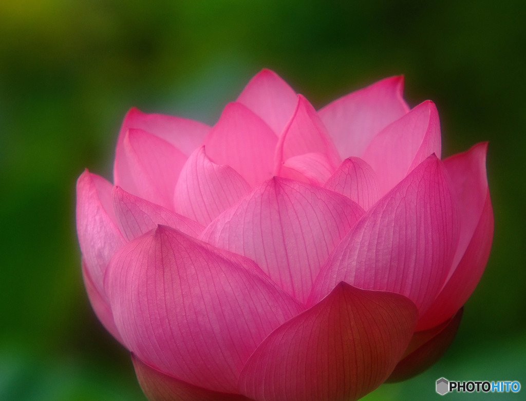 時の過ぎゆくままに