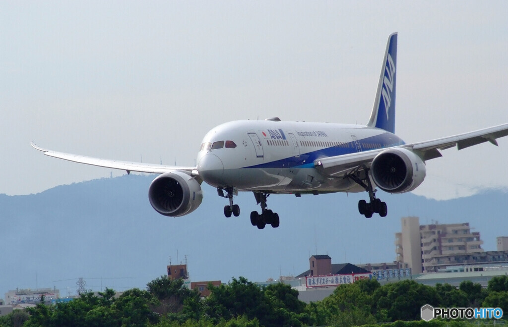 HARADAの空から✈787-8 Dreamliner