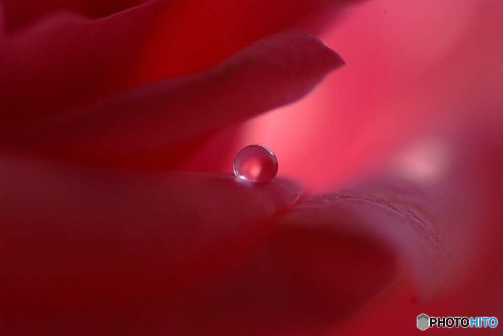 桃月の惑星❁誘い