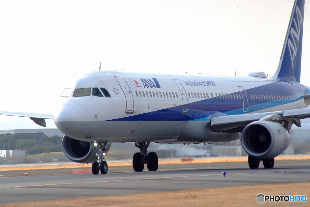 そうだ会いに行こう！✈A321