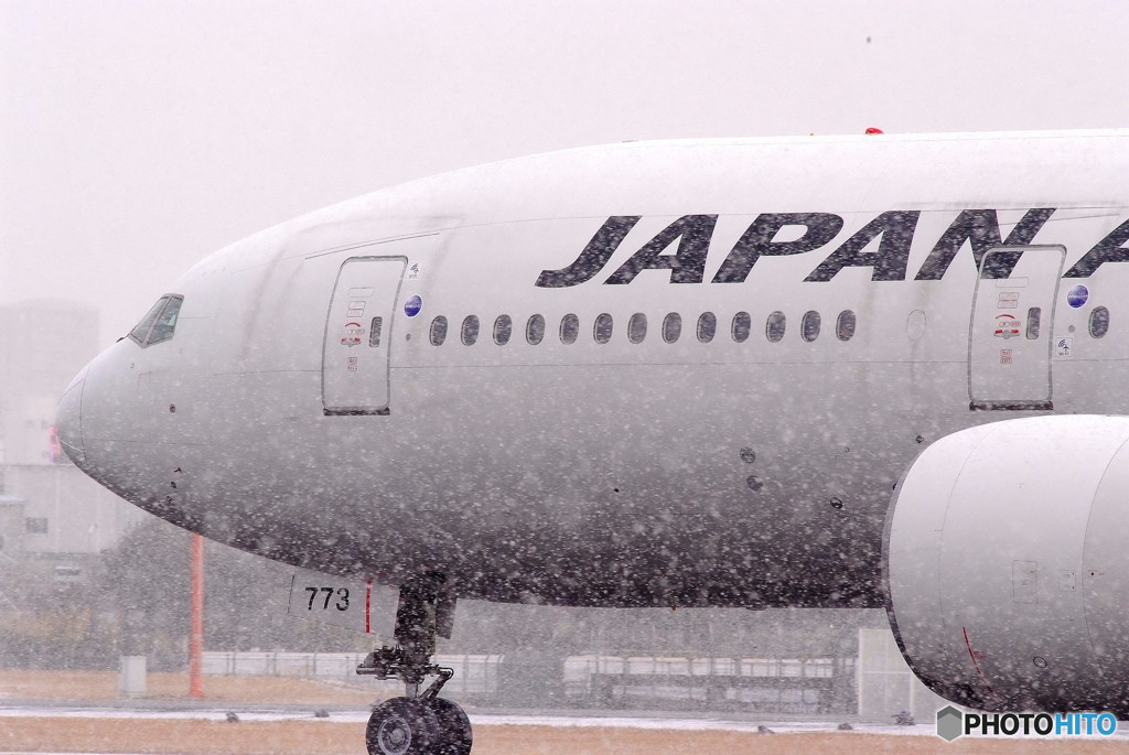 White to the world・J