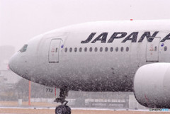 White to the world・J