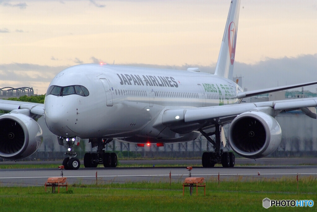 SKY LANDの朝 Ⅵ✈A350-900