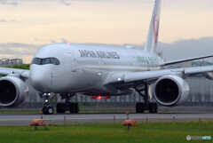 SKY LANDの朝 Ⅵ✈A350-900