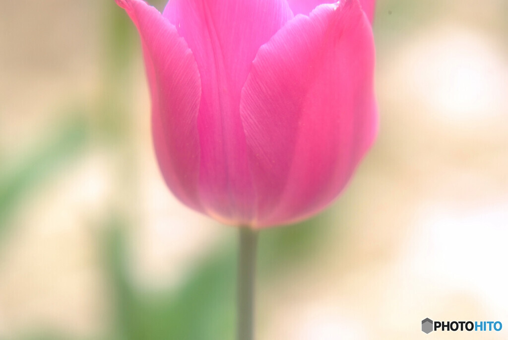 出会い❁花時間