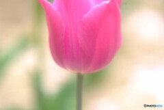 出会い❁花時間