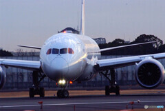 俺の旅立ち✈787-8 Dreamliner