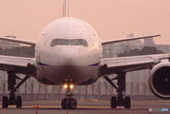 君の瞳に恋してる・777