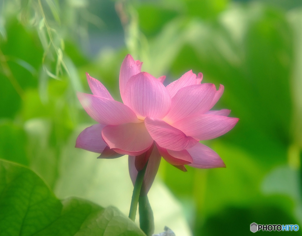 逢いたくていま