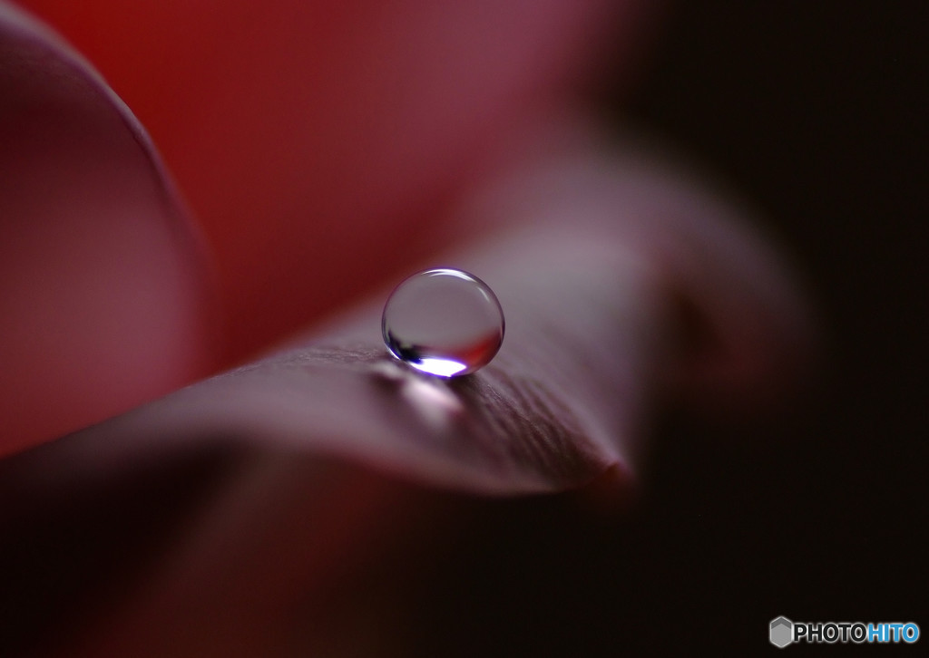 一粒の想い・雫