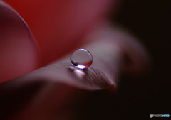 一粒の想い・雫