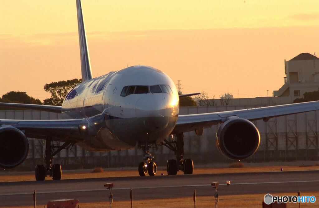 Morning Light✈Boeing 767-300