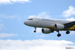 青空からバニラが降りていたよ！