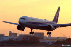 January beautyⅣ✈Boeing 767